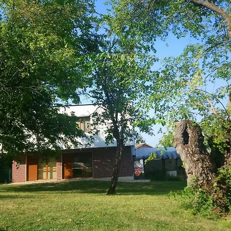 Dream Villa
