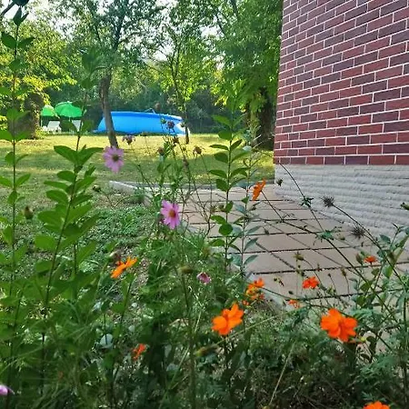 빌라 Dream Dobrevtsi